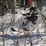 Single Poles for 2012-13 season Tursen skiing the thickets